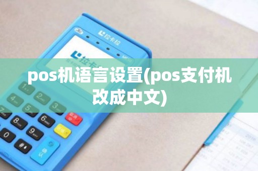 pos机语言设置(pos支付机改成中文)