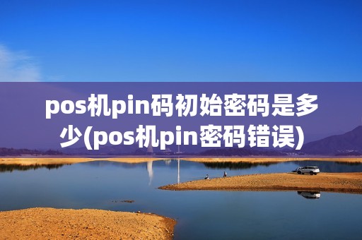 pos机pin码初始密码是多少(pos机pin密码错误)