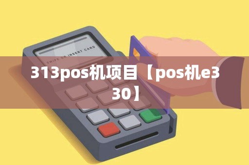 313pos机项目【pos机e330】
