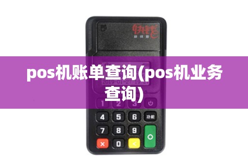 pos机账单查询(pos机业务查询)