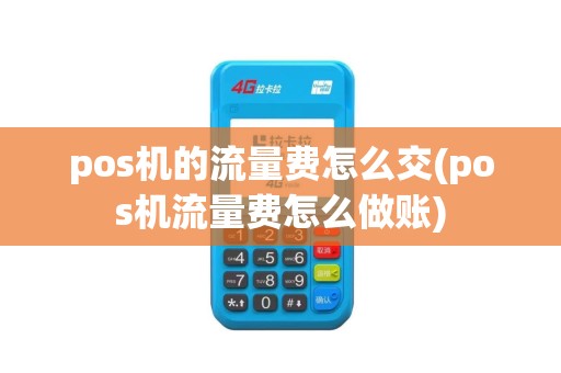 pos机的流量费怎么交(pos机流量费怎么做账)