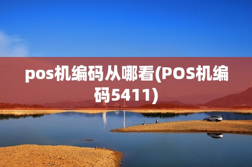 pos机编码从哪看(POS机编码5411)
