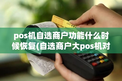pos机自选商户功能什么时候恢复(自选商户大pos机对比)