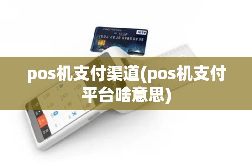 pos机支付渠道(pos机支付平台啥意思)
