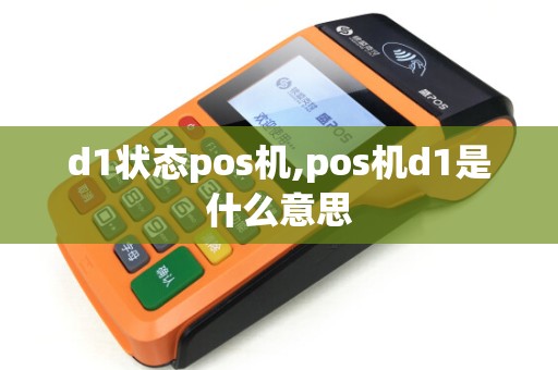 d1状态pos机,pos机d1是什么意思