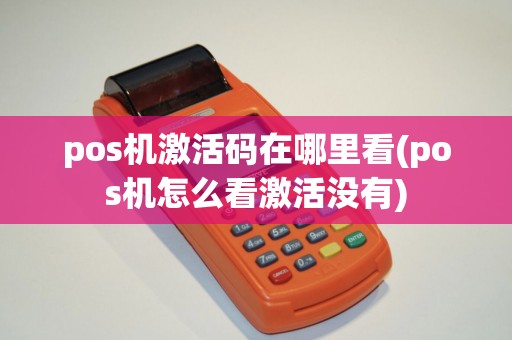 pos机激活码在哪里看(pos机怎么看激活没有)