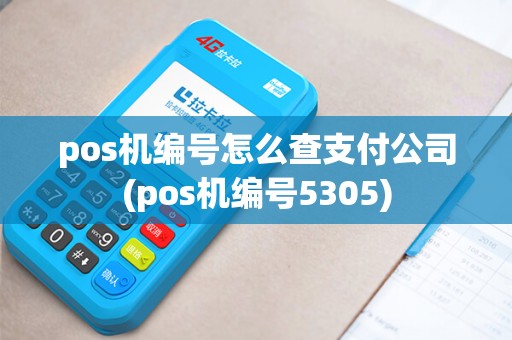pos机编号怎么查支付公司(pos机编号5305)