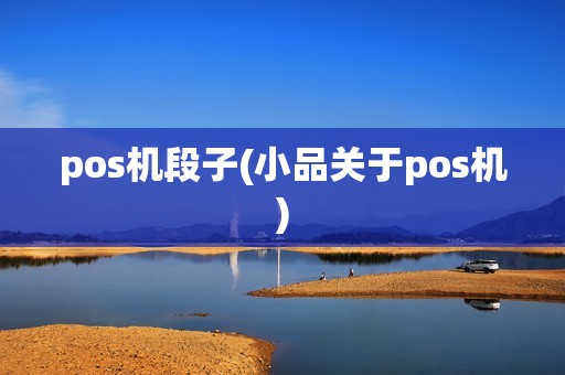 pos机段子(小品关于pos机)