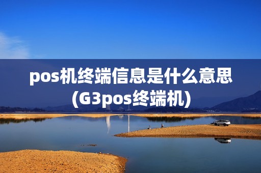 pos机终端信息是什么意思(G3pos终端机)