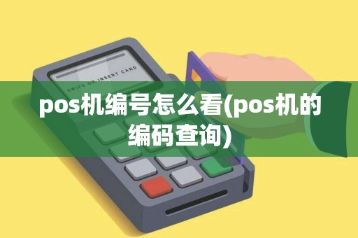 pos机编号怎么看(pos机的编码查询)