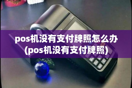 pos机没有支付牌照怎么办(pos机没有支付牌照)