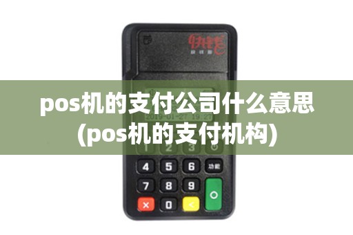 pos机的支付公司什么意思(pos机的支付机构)