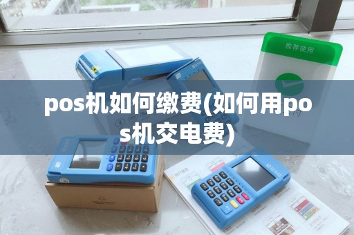 pos机如何缴费(如何用pos机交电费)