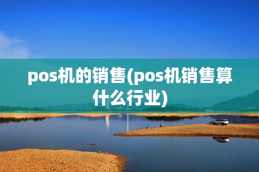 pos机的销售(pos机销售算什么行业)