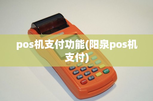 pos机支付功能(阳泉pos机支付)