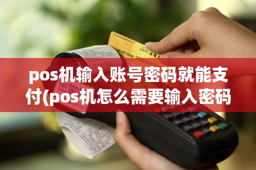 pos机输入账号密码就能支付(pos机怎么需要输入密码)