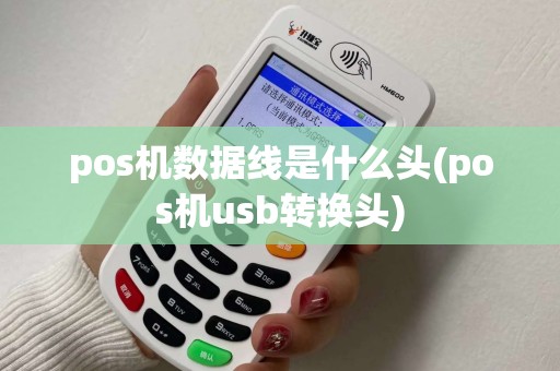 pos机数据线是什么头(pos机usb转换头)