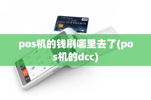 pos机的钱刷哪里去了(pos机的dcc)