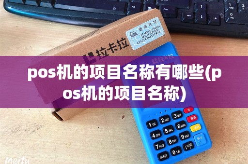 pos机的项目名称有哪些(pos机的项目名称)