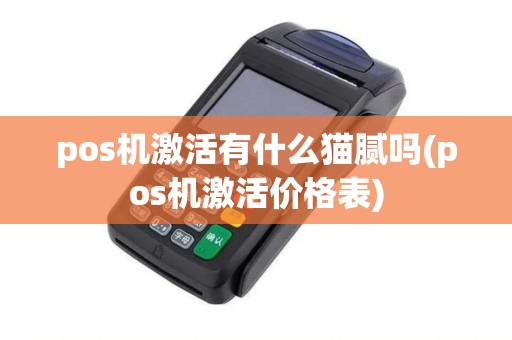 pos机激活有什么猫腻吗(pos机激活价格表)