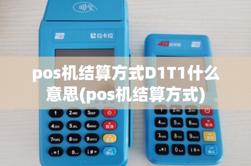 pos机结算方式D1T1什么意思(pos机结算方式)