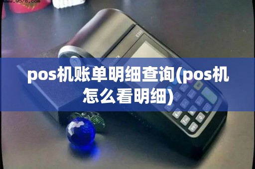 pos机账单明细查询(pos机怎么看明细)