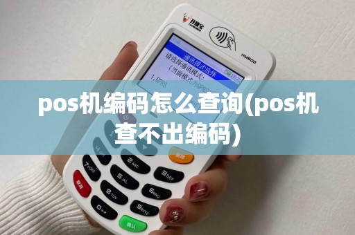 pos机编码怎么查询(pos机查不出编码)
