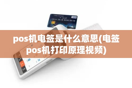 pos机电签是什么意思(电签pos机打印原理视频)