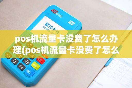 pos机流量卡没费了怎么办理(pos机流量卡没费了怎么办)
