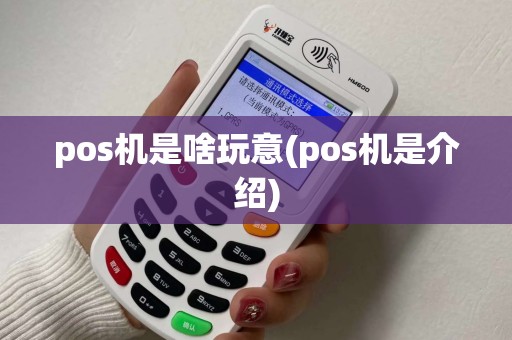 pos机是啥玩意(pos机是介绍)