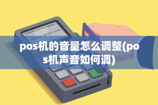 pos机的音量怎么调整(pos机声音如何调)