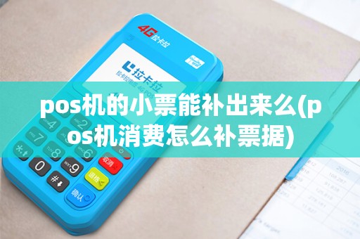 pos机的小票能补出来么(pos机消费怎么补票据)