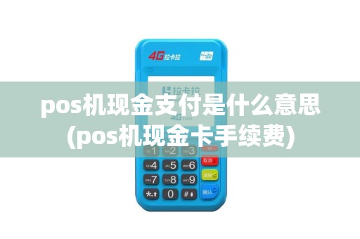 pos机现金支付是什么意思(pos机现金卡手续费)