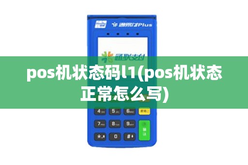 pos机状态码l1(pos机状态正常怎么写)