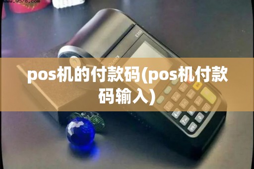 pos机的付款码(pos机付款码输入)