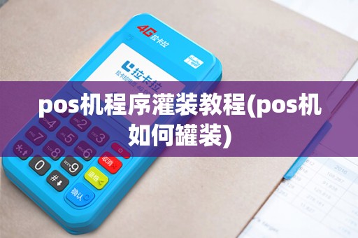 pos机程序灌装教程(pos机如何罐装)