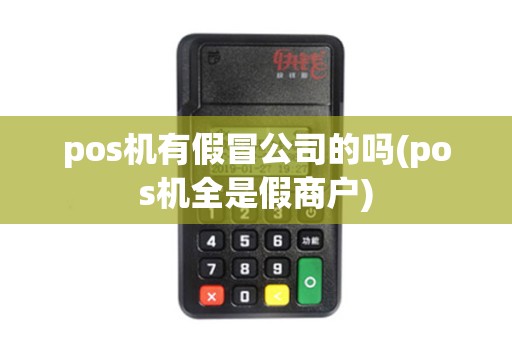 pos机有假冒公司的吗(pos机全是假商户)