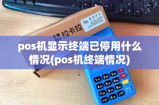 pos机显示终端已停用什么情况(pos机终端情况)