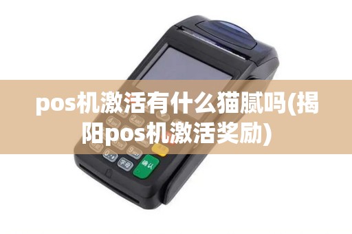 pos机激活有什么猫腻吗(揭阳pos机激活奖励)