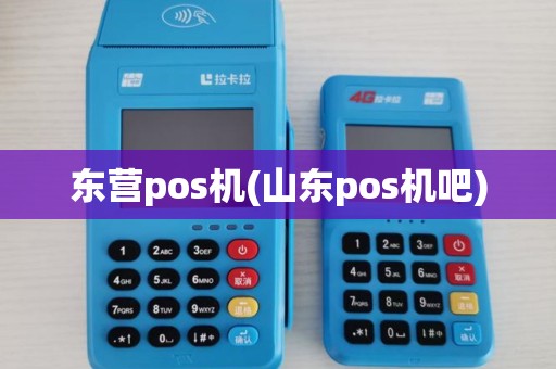 东营pos机(山东pos机吧)