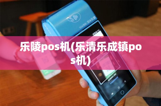 乐陵pos机(乐清乐成镇pos机)
