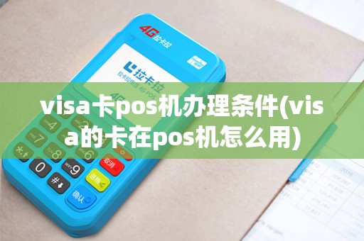 visa卡pos机办理条件(visa的卡在pos机怎么用)