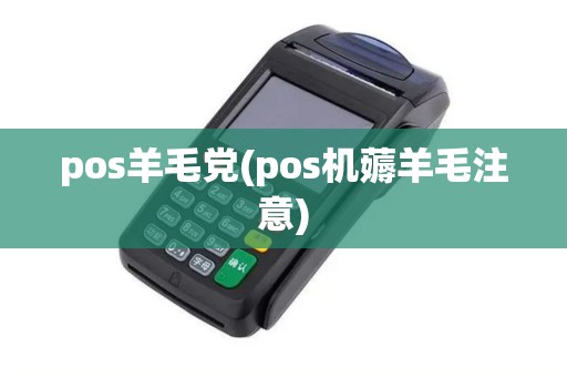 pos羊毛党(pos机薅羊毛注意)