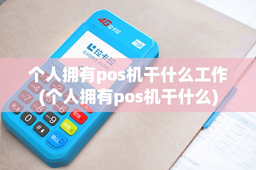 个人拥有pos机干什么工作(个人拥有pos机干什么)