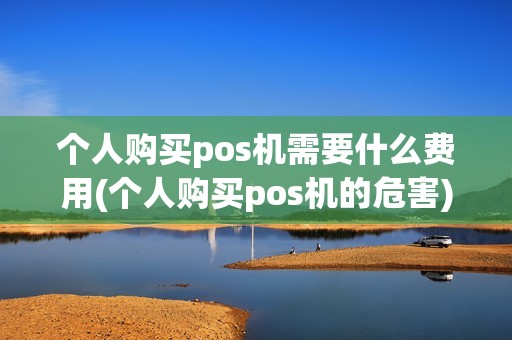 个人购买pos机需要什么费用(个人购买pos机的危害)