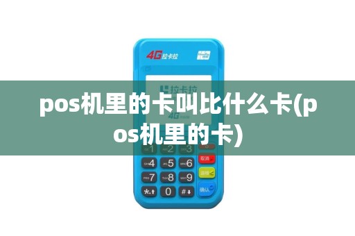 pos机里的卡叫比什么卡(pos机里的卡)
