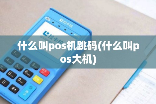 什么叫pos机跳码(什么叫pos大机)