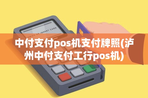 中付支付pos机支付牌照(泸州中付支付工行pos机)