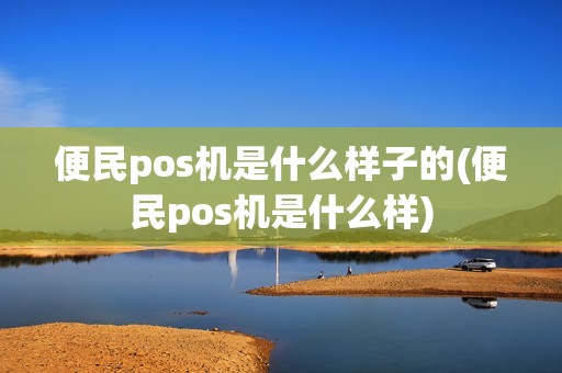 便民pos机是什么样子的(便民pos机是什么样)
