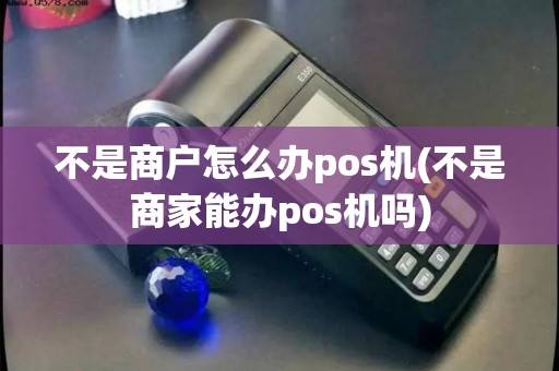 不是商户怎么办pos机(不是商家能办pos机吗)